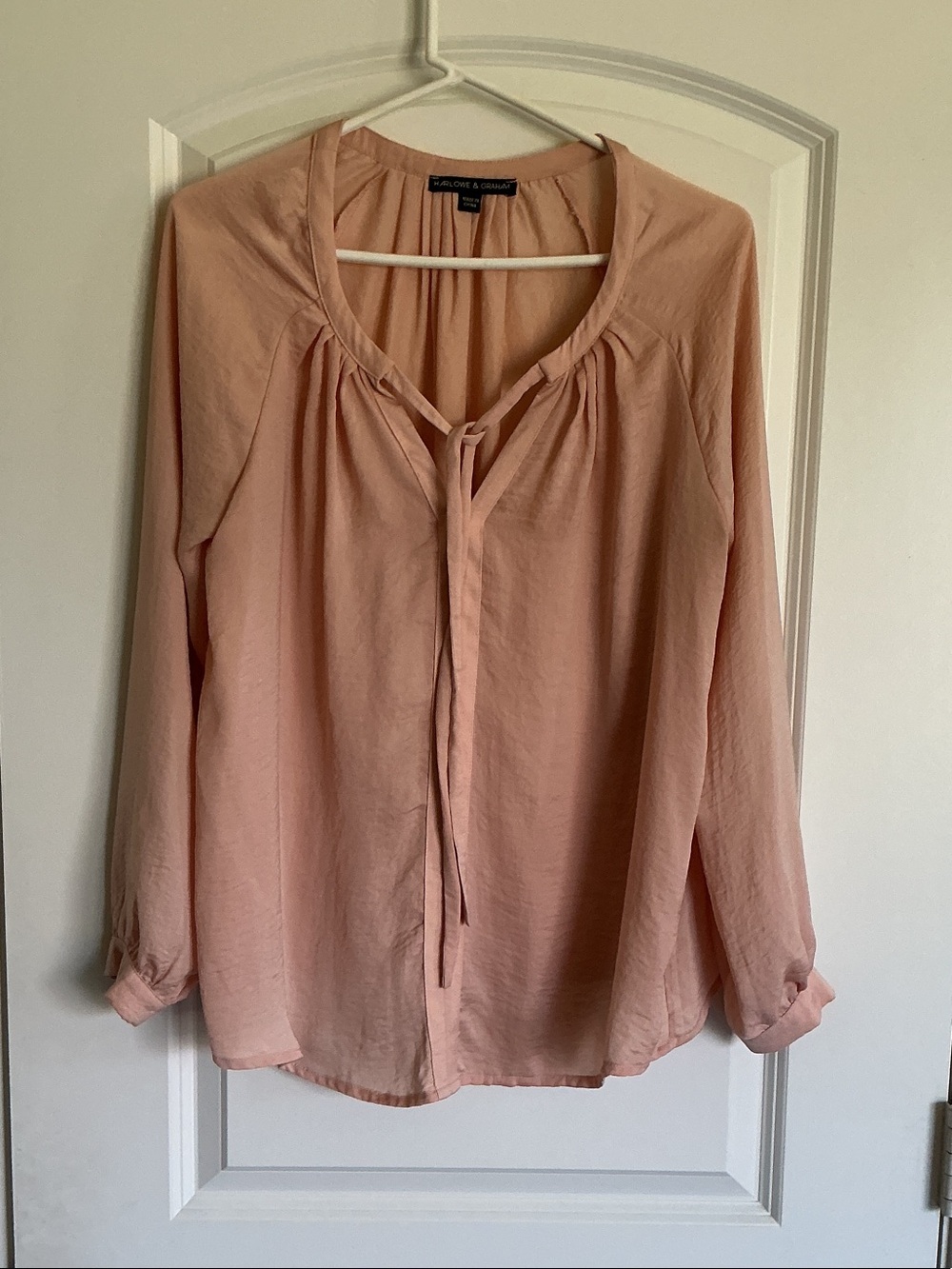 Harlowe & Graham Blush Tie-Neck Long Sleeve Blouse